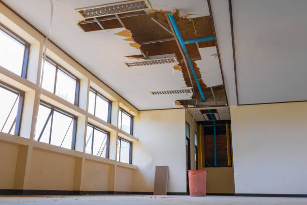Water damage restoration experts in Lighthouse Point, FL