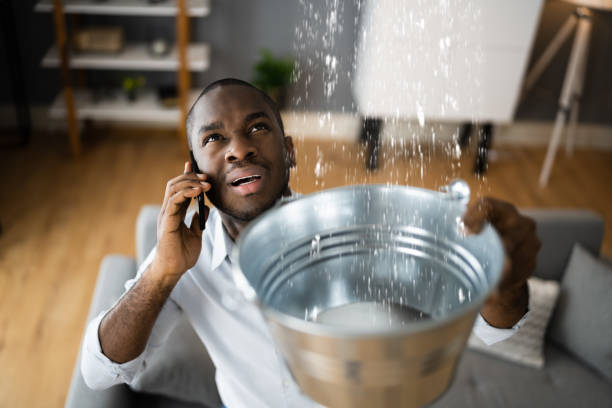 Best Water damage contractors near me  in Lighthouse Point, FL
