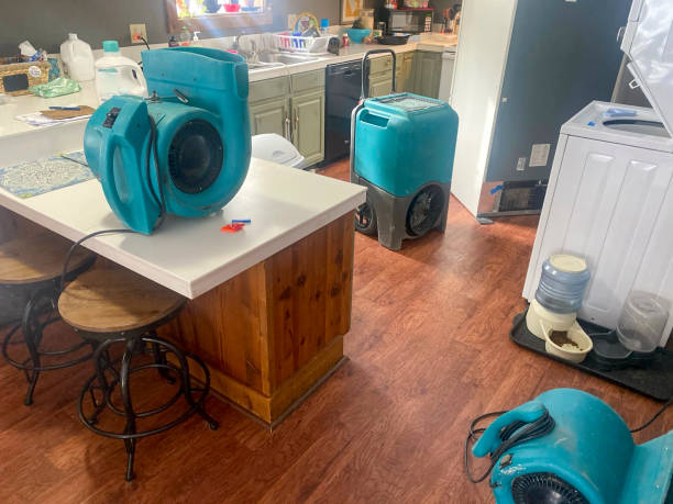 Best Residential water damage restoration  in Lighthouse Point, FL