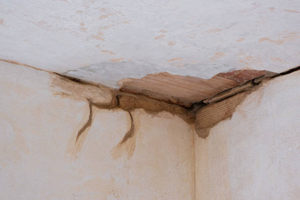 Best Water damage restoration cost  in Lighthouse Point, FL
