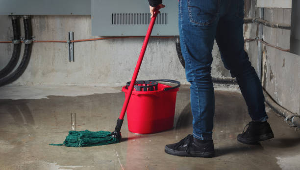 Best Flood restoration services  in Lighthouse Point, FL