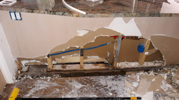 Best Water damage restoration near me  in Lighthouse Point, FL