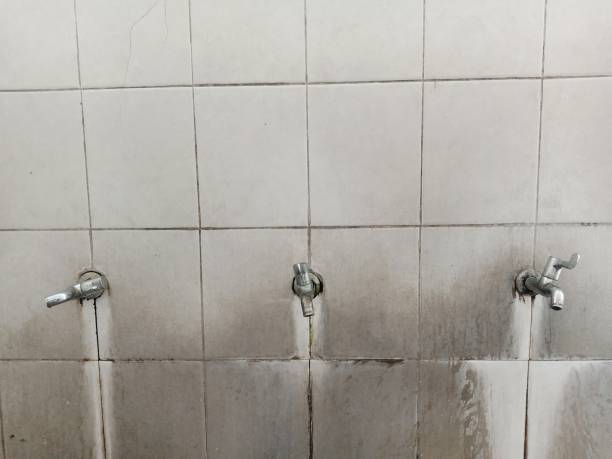 Best 24/7 water damage repair  in Lighthouse Point, FL