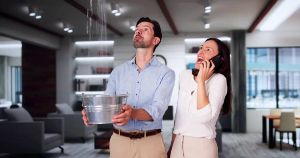 Best Fire Damage Restoration  in Lighthouse Point, FL