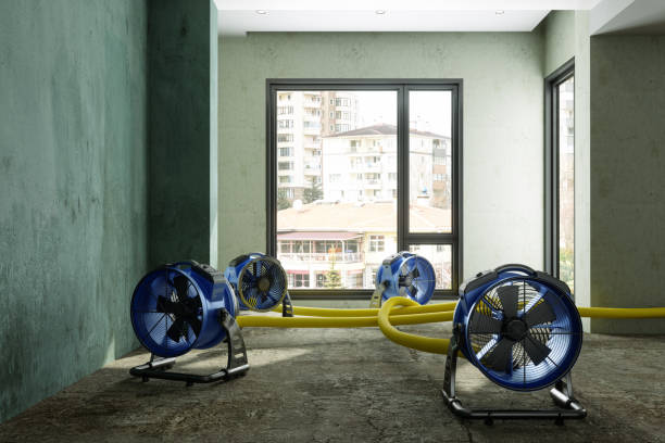 Best Residential water damage restoration  in Lighthouse Point, FL