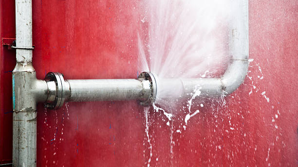 Best Water damage restoration near me  in Lighthouse Point, FL