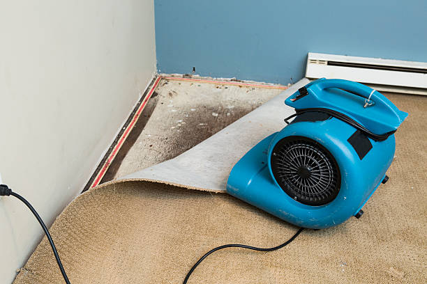 Best Ceiling water damage repair  in Lighthouse Point, FL